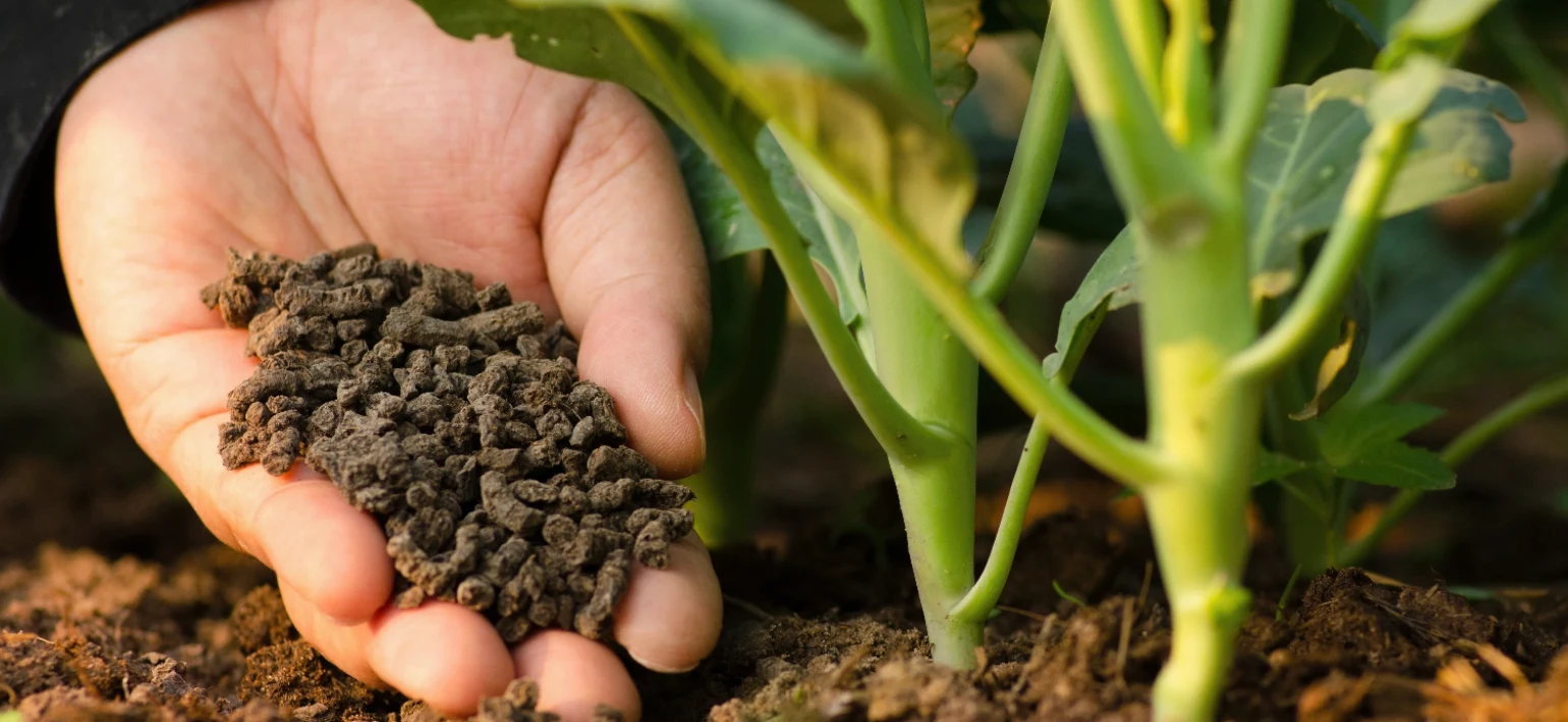 Organische meststoffen kopen